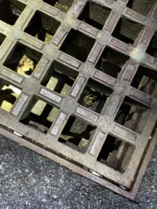 Ducklings trapped in storm drain at 7 Mill and Main on 6/24/2023.